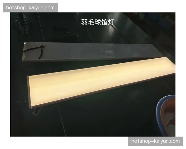 运营逻辑按需照明算法引入羽毛球训练场 实现了场地无人自动关灯的闭环节能管理